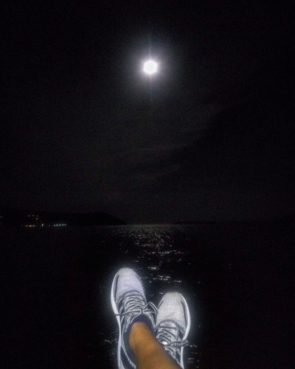 IntroducingMo's tweet photo. Enjoy the silence. #schhhh
~ N. https://t.co/TUcyqEyyY1