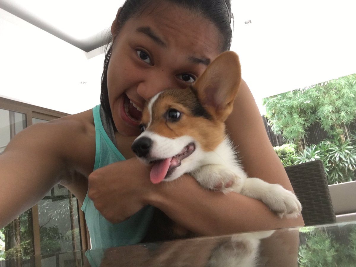_beadel's tweet photo. Time for some breakfast with the little cutie (myself jk) 🐶 https://t.co/767JgBc5OE