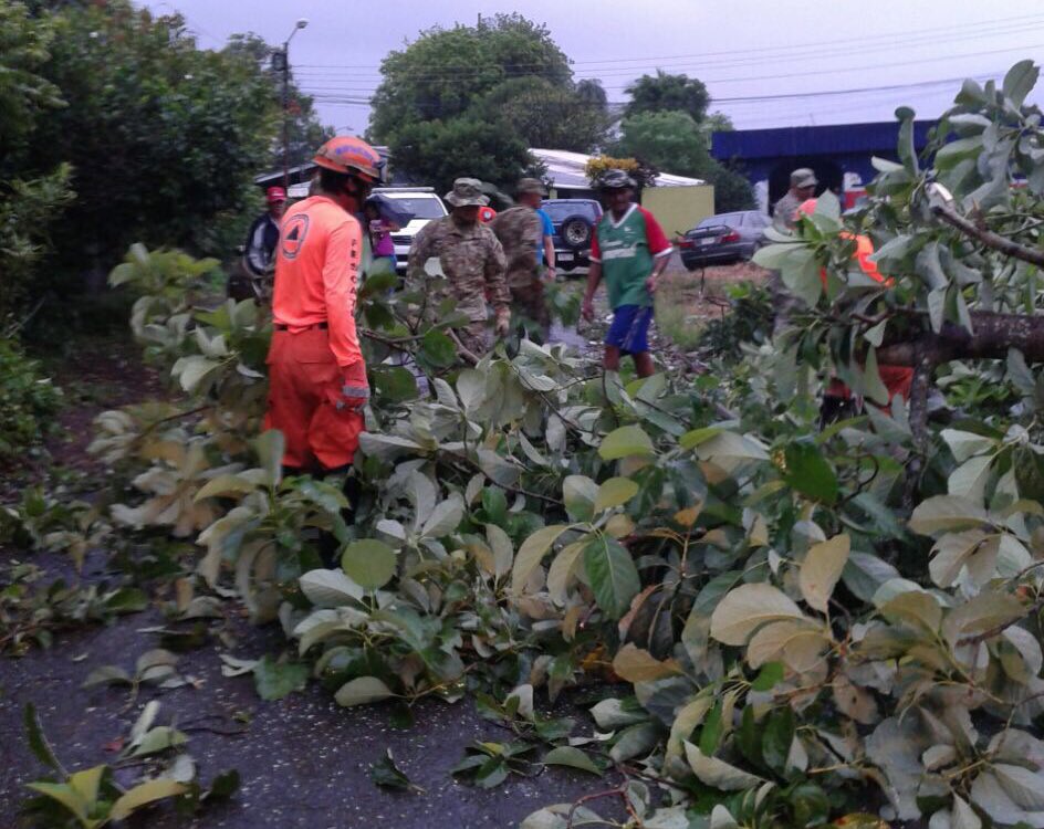 aeronavalpanama's tweet photo. Siempre atentos a servir a la comunidad 1ra. Región apoyó en remoción de ramas de árboles caídos/vía Barriada La Revolución/David/Chiriquí. https://t.co/XTwKwAEFel