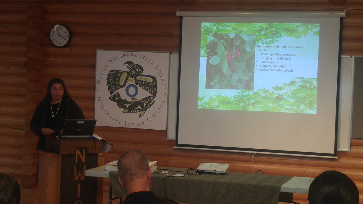88str1zzy's tweet photo. Carol Wilson giving an awesome capstone presentation on culturally important native plants! #NorthwestIndianCollege #TEK #BSNES #graduation! https://t.co/EcqhRj3nkq