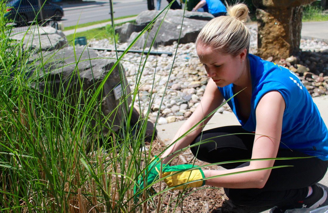 LFPress's tweet photo. Volunteers roll up sleeves for @unitedwaylm agencies https://t.co/sGeQYVzZUt #ldnont #DayofCaring https://t.co/9PdGFaCBnp
