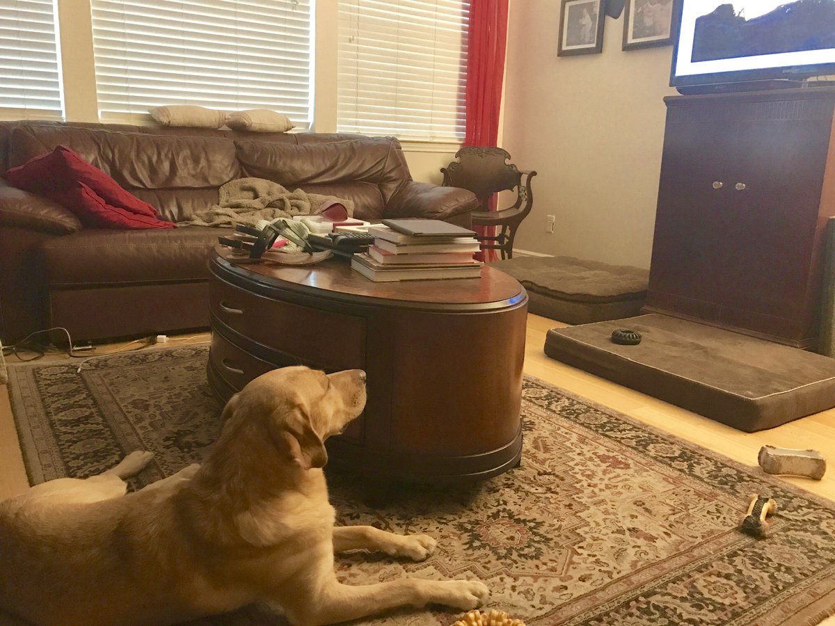 Timber enjoys watching Stanley Cup hockey...