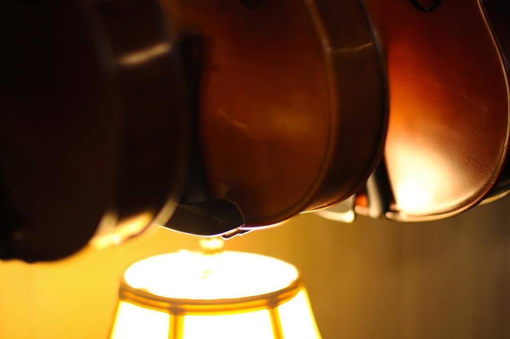 SimplyforString's tweet photo. Dreary days call for some time dusting our violas...#simplyforstrings #violin #viola #cello #doublebass #play #mus… https://t.co/xrJ39wR46n https://t.co/e8EvM1xR4G