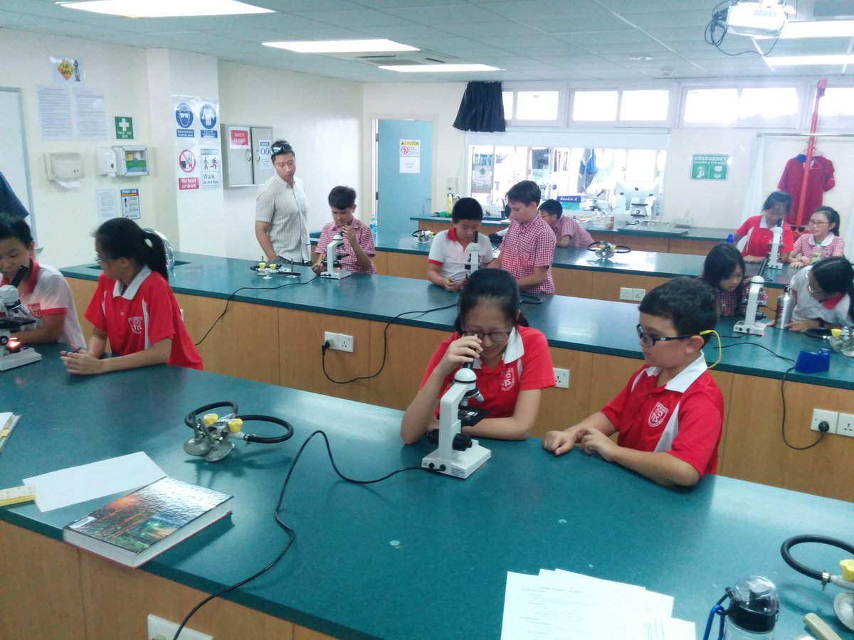 Edu4A11's tweet photo. Our final Enrichment Afternoon - spending this afternoon in the Science lab #TISMacao https://t.co/YgD4BJ6p9G