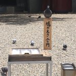 餌箱の上から視線を感じる…w餌があることをわかっているのかこちらに催促してくる鳩w