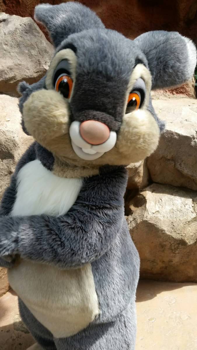 うさぎどん@スプラッシュマウンテン🐰 (@FoodforBadfox) / X