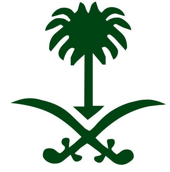 riyyad's tweet photo. 💚 https://t.co/t4p7kGecDs