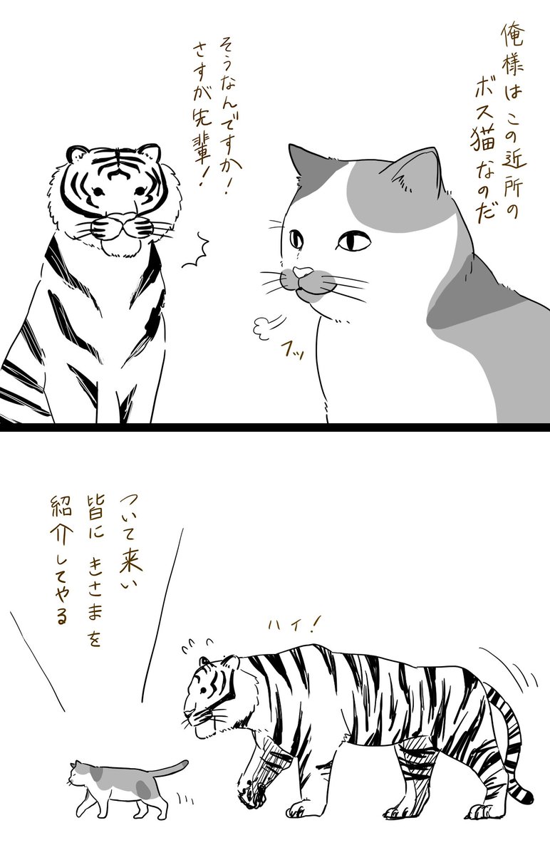 虎の威を借る猫 