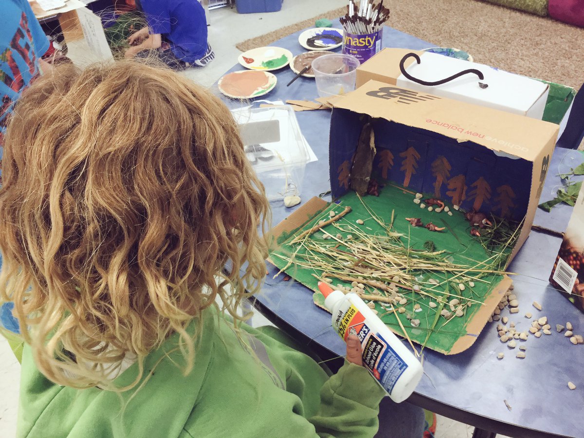 msthiessen45's tweet photo. A fun day building animal habitat dioramas! #badgerpride https://t.co/zlwr2Jw7sO