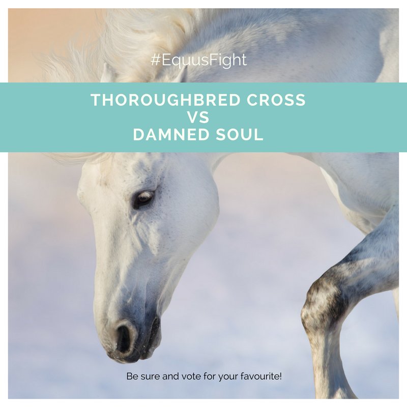 RhondaParrish's tweet photo. So, go. Vote. #EquusFight https://t.co/0XZfWio0Ks https://t.co/HNIpHrirzm