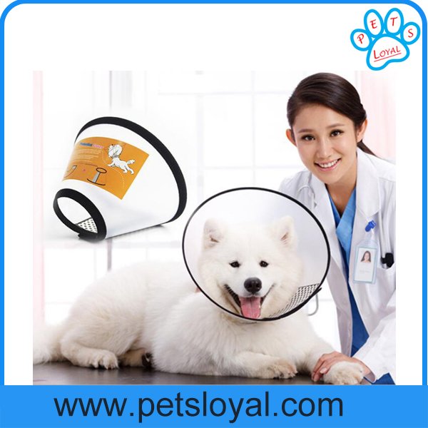petsloyal's tweet photo. Elizabeth collar, protect your pet. https://t.co/6Df8Rgzl9O. andy@petsloyal.com https://t.co/BXbvTB5f2T