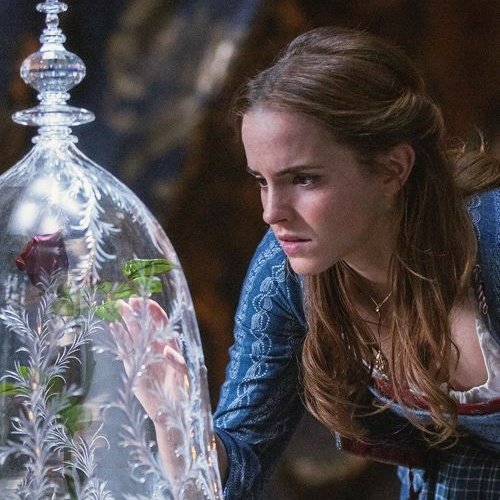 WonderousReader's tweet image. #NewProfilePic