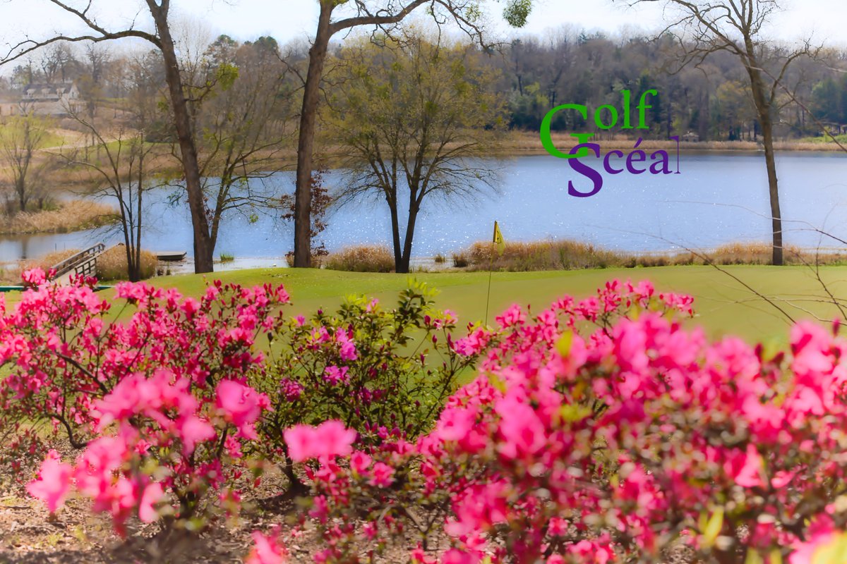 GolfSceal's tweet photo. Nice place to plop down and enjoy life. Live in the moment today! #golfstories
Course: Garden Valley Resort &amp; Golf Club
Photo: Bryce Quine https://t.co/TYrrXyfh42