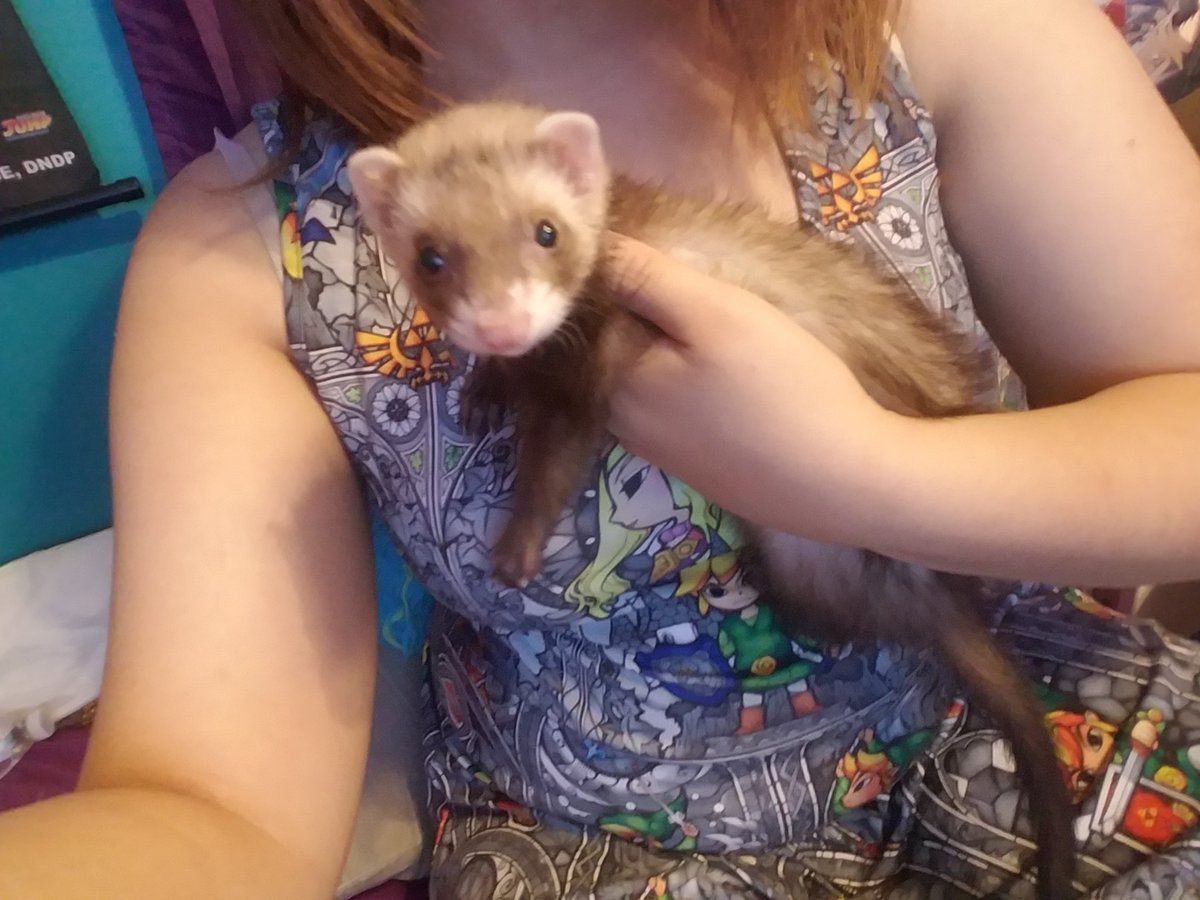 //I got a ferret for my birthday and few days ago, and well.. 

She's a bitch, but I love her.