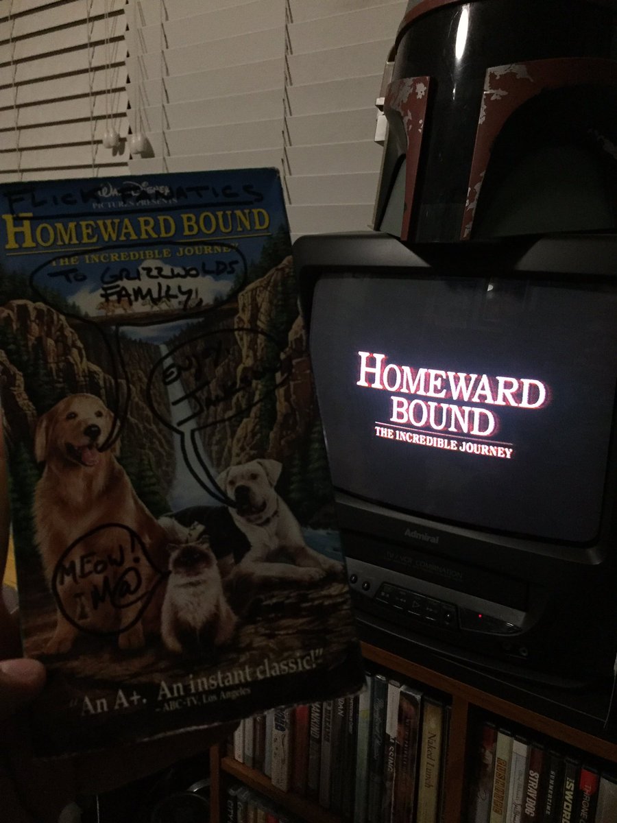 narflethegrizz's tweet photo. Watching Homeward Bound with my daughter. This VHS tape I got signed by the old @FlickFanatics crew! Still got these tapes dudes! https://t.co/7Yz3RgCxrC