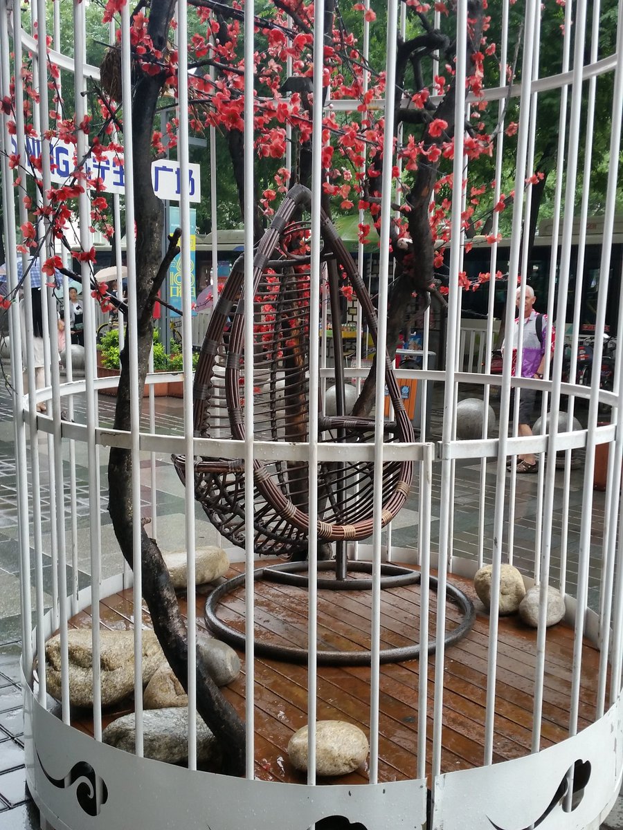 Matty_Thompo's tweet photo. @TheACCnz  Spotted in Xi'an - protected and decorated Social Media Testicle https://t.co/oGIwgd44wL