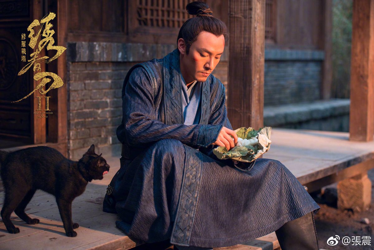 장첸이 웨보에 올려준 영화 "绣春刀修罗战场 수춘도2"에서 장첸과 같이 사는 냥이. 영화 사진작가가 올려준 영화속 냥이 사진