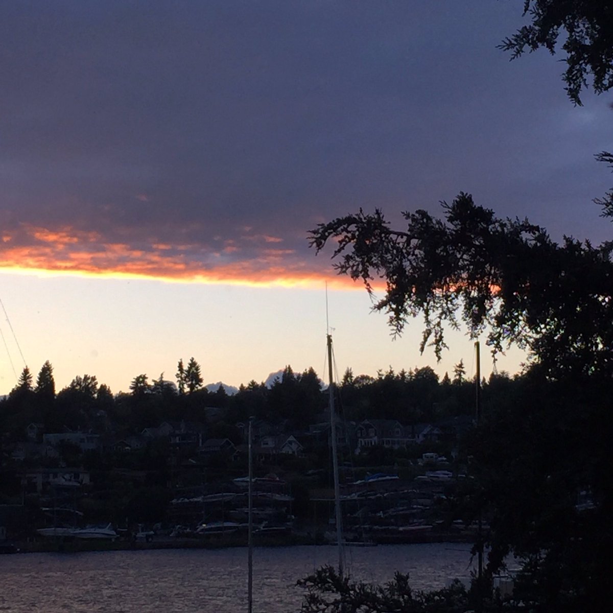 CourtStrand's tweet photo. #PinkRibbon #Sky #LakeUnion #MySeattleCottage https://t.co/65sVFkeooQ