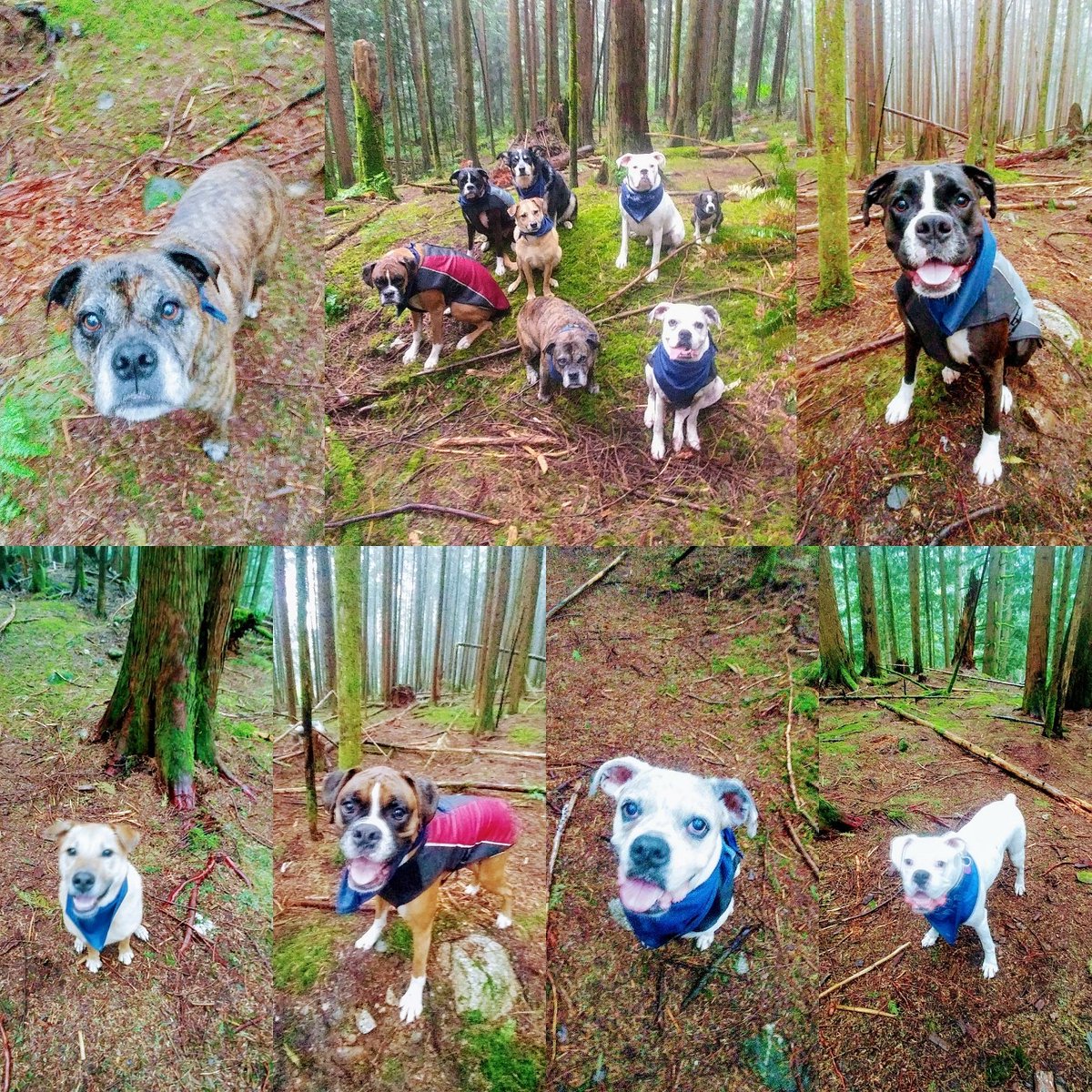 AdventuresDog's tweet photo. #Funtimes https://t.co/lV7f3L2prL