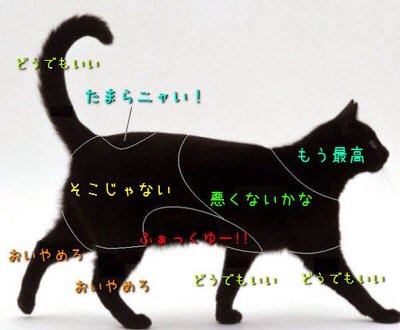 平成を忘れないbot Ar Twitter 猫犬兎熊のどこを触ると喜ばれるかが分かる図 T Co F640hjx5hm 平成を忘れないbot Ar Twitter 猫犬兎熊のどこを触ると喜ばれるかが分かる図 T Co F640hjx5hm