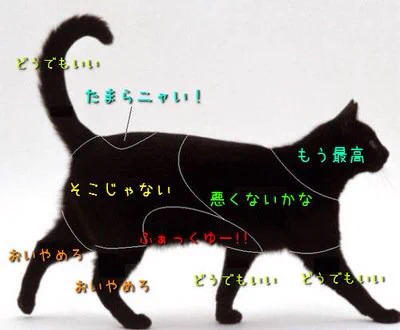 下手したら危険？猫犬兎熊のどこを触ると喜ばれるかが分かる図ｗｗｗ