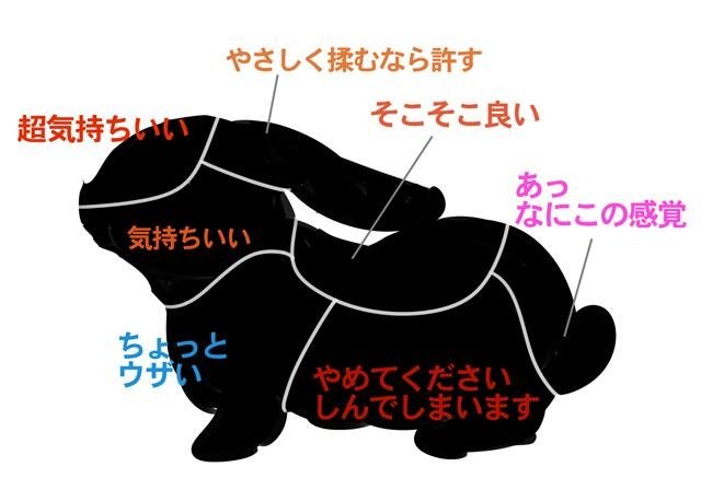 猫 犬 兎 熊のどこを触ると喜ばれるかが分かる図が面白い 熊が不意打ちすぎて笑った 犬は変態 Togetter