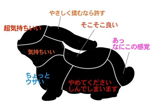 下手したら危険 猫犬兎熊のどこを触ると喜ばれるかが分かる図 話題の画像プラス