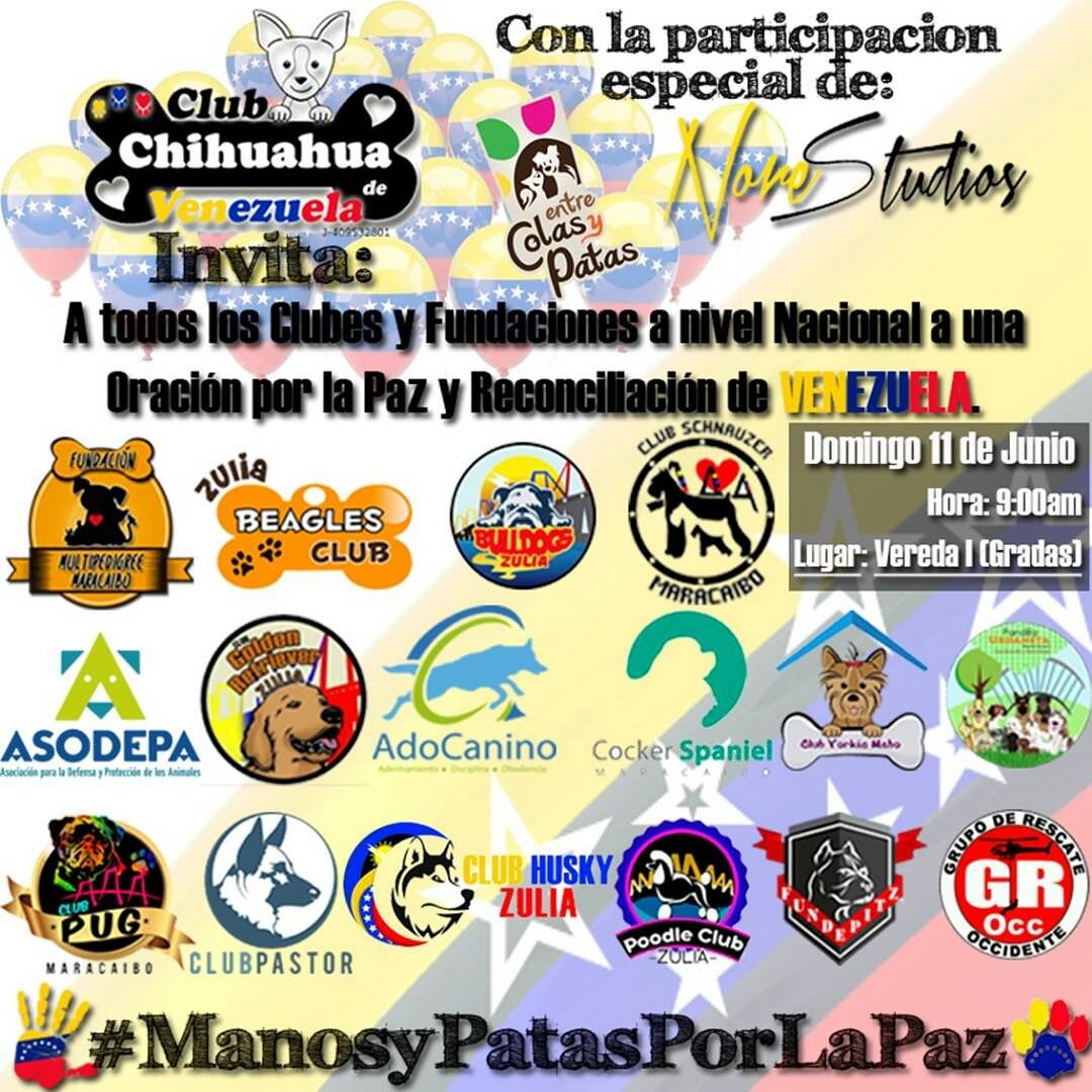 Los invitamos a una hermosa REUNION para orar y pedir por La Paz y la Reconciliación de #Venezuela #ManosYPatasPorLaPaz Domingo 9am