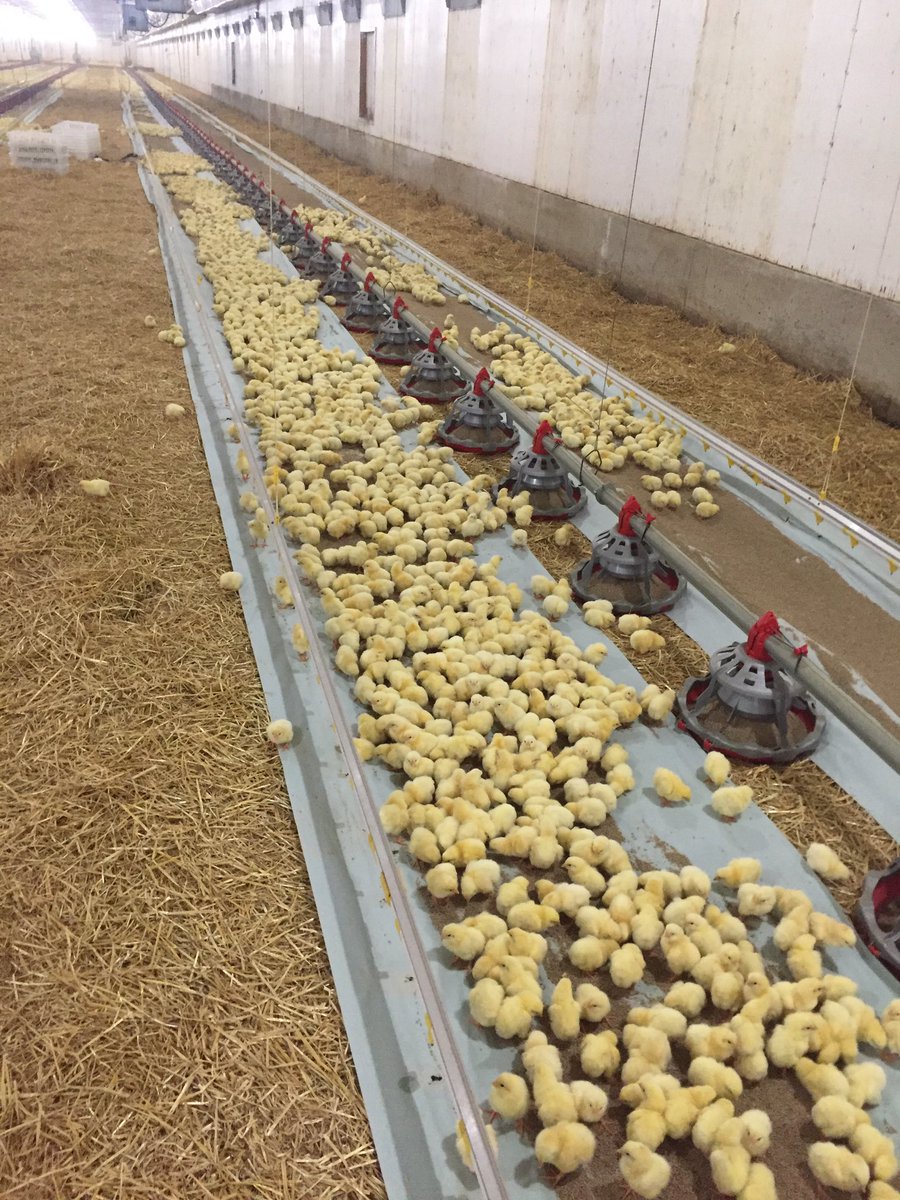 breagenklassen's tweet photo. What an awesome spring in the world of #CdnAg So many great opportunities. #MbFarming #Grow17 #AgProud https://t.co/htkny690Pk