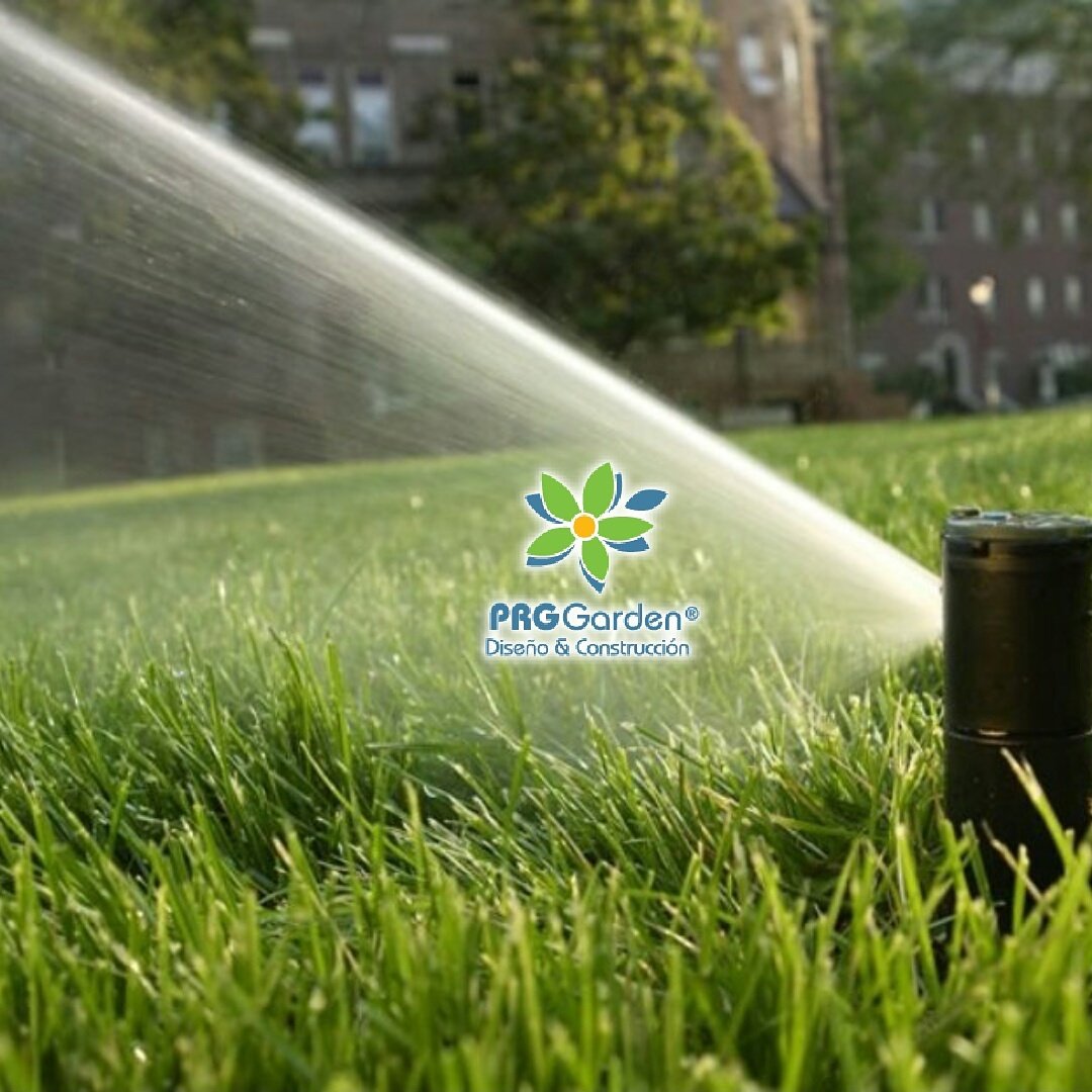 PRG_GARDEN's tweet photo. Llegó el verano! 🍃
No esperes que por falta de agua tu jardín se ponga feo y marchito. 
Llámanos de inmediato:
0939640406
@prg_garden https://t.co/suLjzQ2bwO