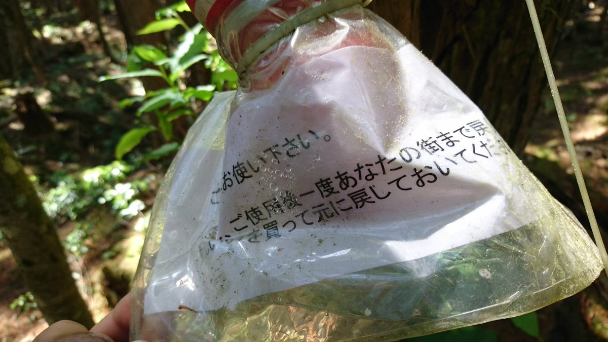 そこに記されていたメッセージは新手の自殺防止策なのか 樹海に衝撃的な落とし物 Togetter そこに記されていたメッセージは新手の自殺防止策なのか 樹海に衝撃的な落とし物 Togetter