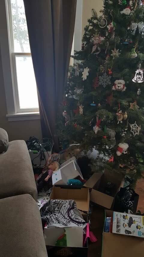 LuTheFluffer's tweet photo. When you find a comfy spot away from your hoomans but they find you. https://t.co/9Kn6TqfLF6