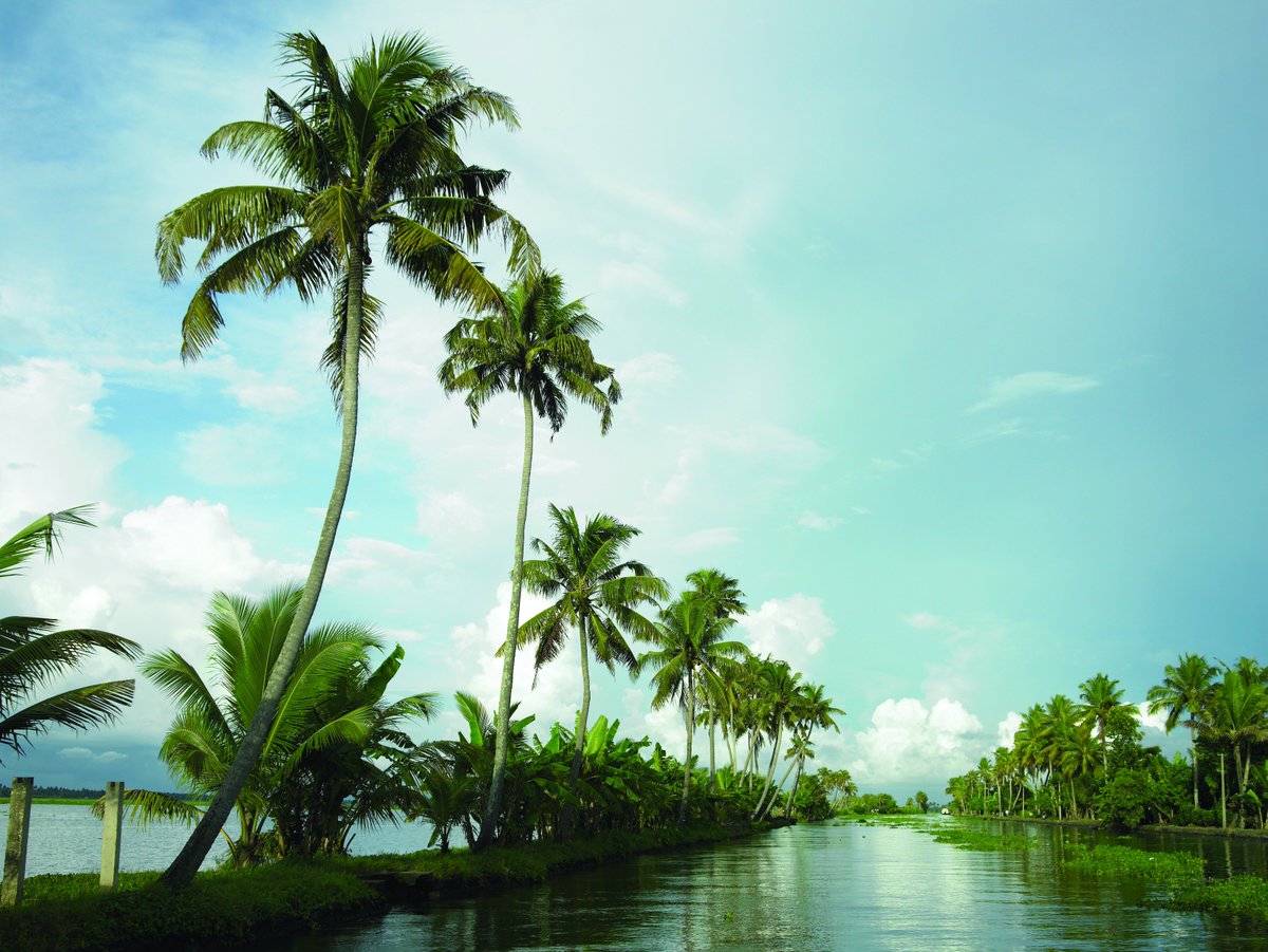 ictt2017's tweet photo. #Kerala God’s own country, is your first stop in getting to know the real India. #IndiaForBeginners https://t.co/3To7NfYOi4