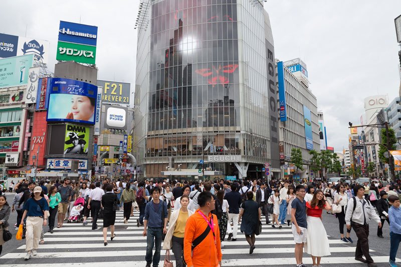 株式会社アニメイト アニメイトチャンネルで新たに声優バラエティ番組の配信が決定 番組詳細は6 23 金 発表 それまでは少しずつ番組内容をお伝えしますアニ 突然ですが問題です 気になるmcの１人目が この画像の中に隠れてます ぜひ当ててみて下さい