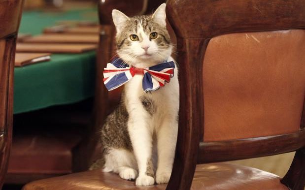 View image on Twitter