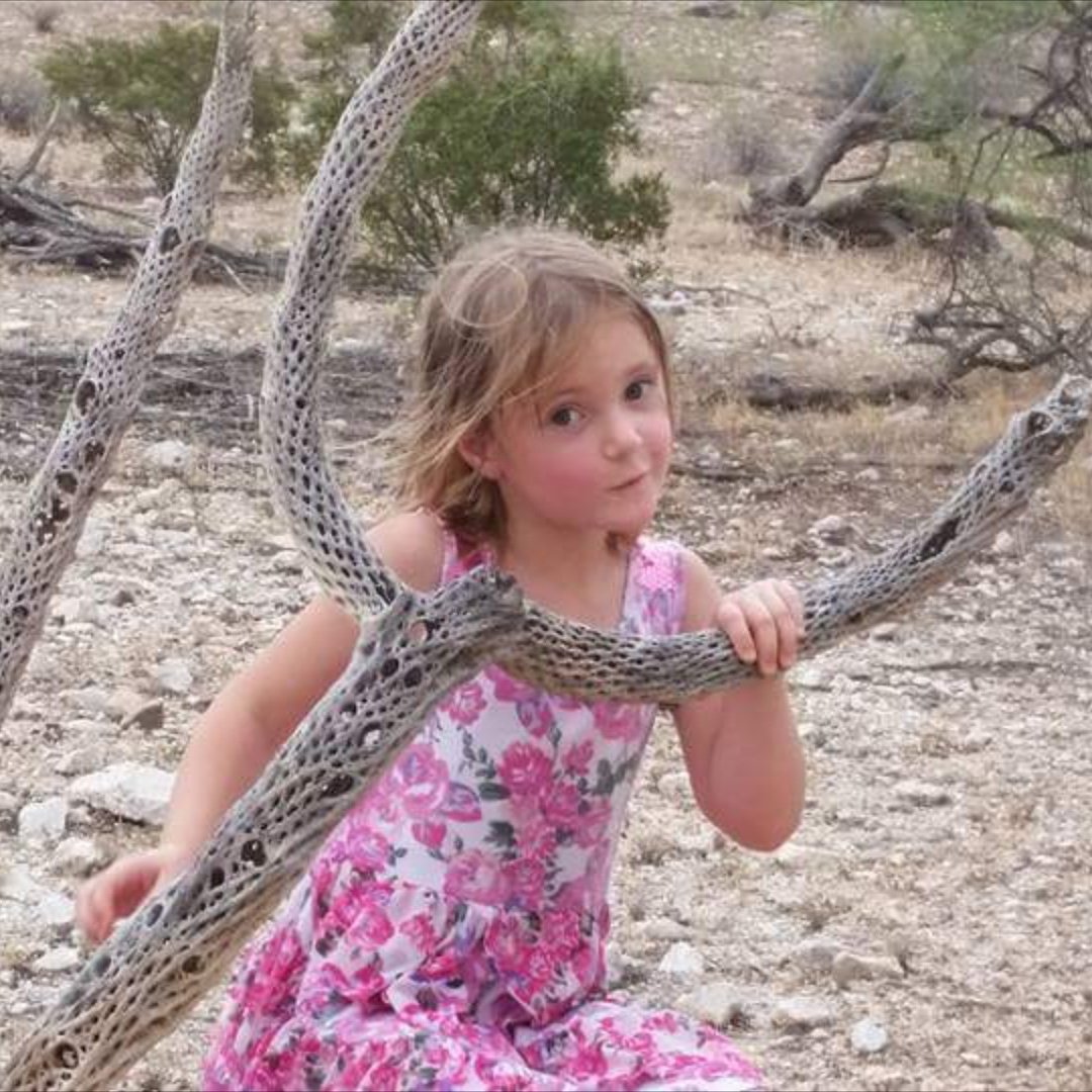 LShelton65's tweet photo. Grace #Hiking and #Explroring with me #Arizona #CasaGrande https://t.co/IEKmpYDd1T