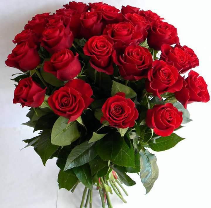  happy birthday n wish u all da best. I m from Bangladesh 