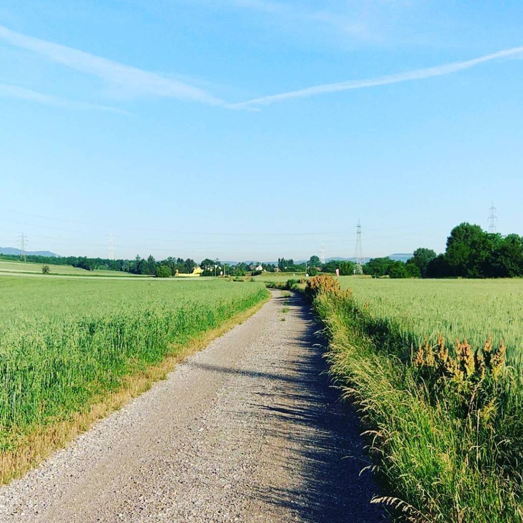 screamy's tweet photo. Good Morning! #running #runnerdrun #strava #instarunning #instarun #UnderAmour #run https://t.co/LQEMMpKCZn https://t.co/UifcKyr6NE