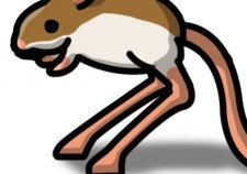 「 トビネズミの脚を伸ばす仕事トビネズミの脚、いつ見ても違和感すごいなー。 いいね」|hiroshiki@イラストと猫のイラスト