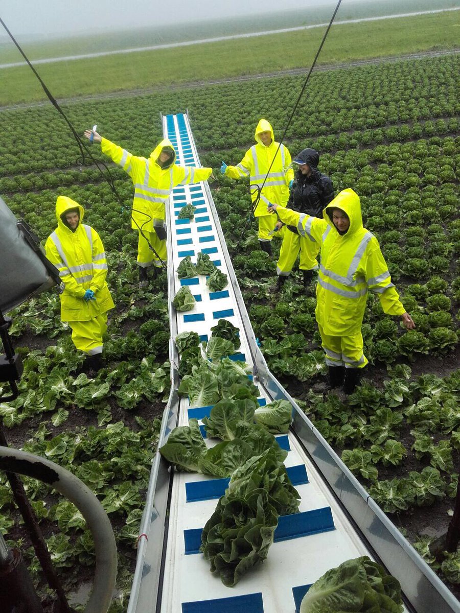 Stay calm and keep breathing as not aliens, but only new worksuites have landed in our fields #health &amp; #safety goes first