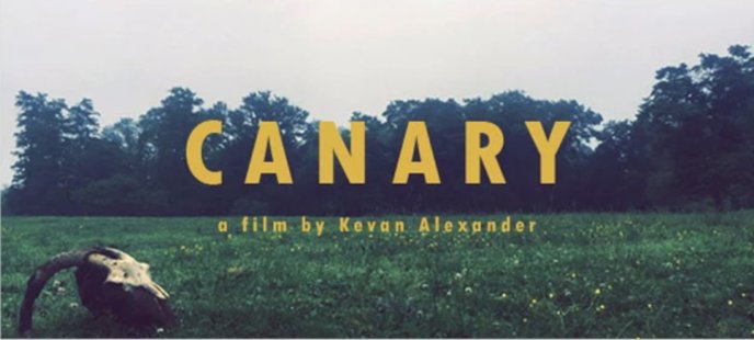 indistale's tweet photo. Check out the new Indiegogo campaign for the short film 'Canary'
https://t.co/aNbhBMx2Sb https://t.co/QGnZcJK18f