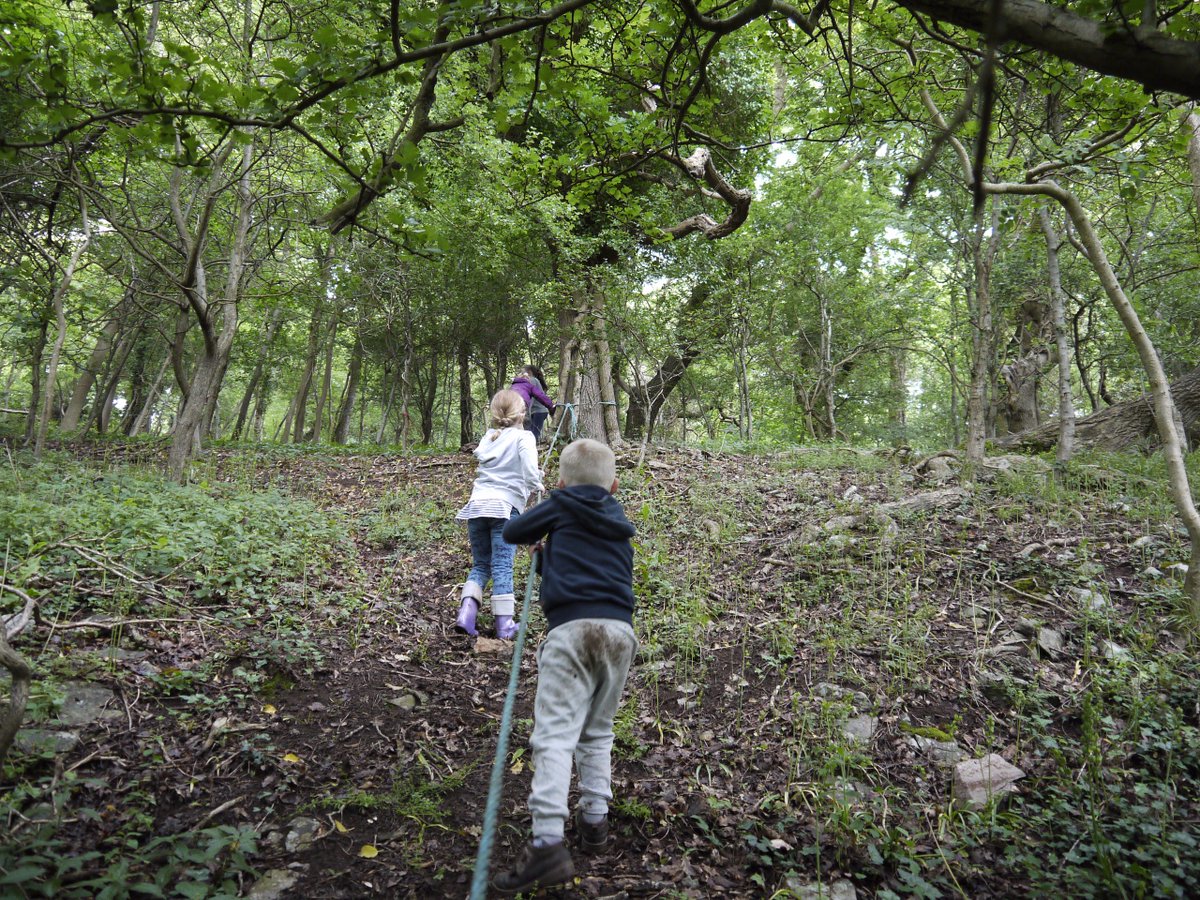 Forest School Kids tweet media
