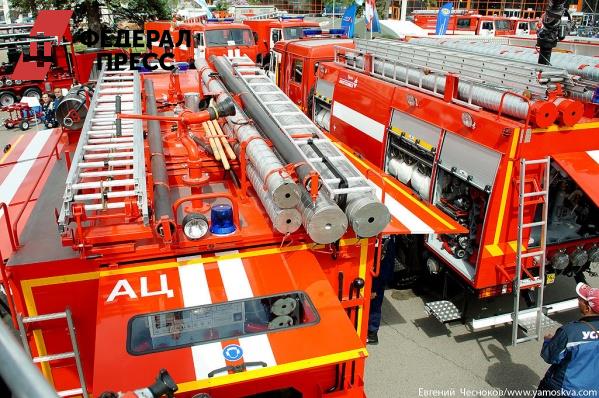 Начальник варгашинской пожарной части незаконно получал премии
fedpress.ru/news/45/societ…