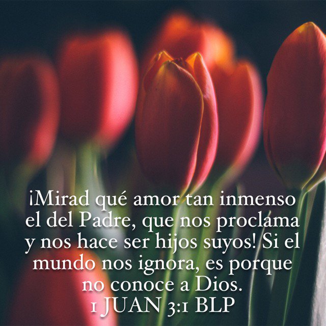 Crussana's tweet photo. Somos hijos del Rey del universo. Debemos actuar con bondad y amor como es nuestro Padre https://t.co/XIzITZ18Fe https://t.co/DbjoqkXuT9