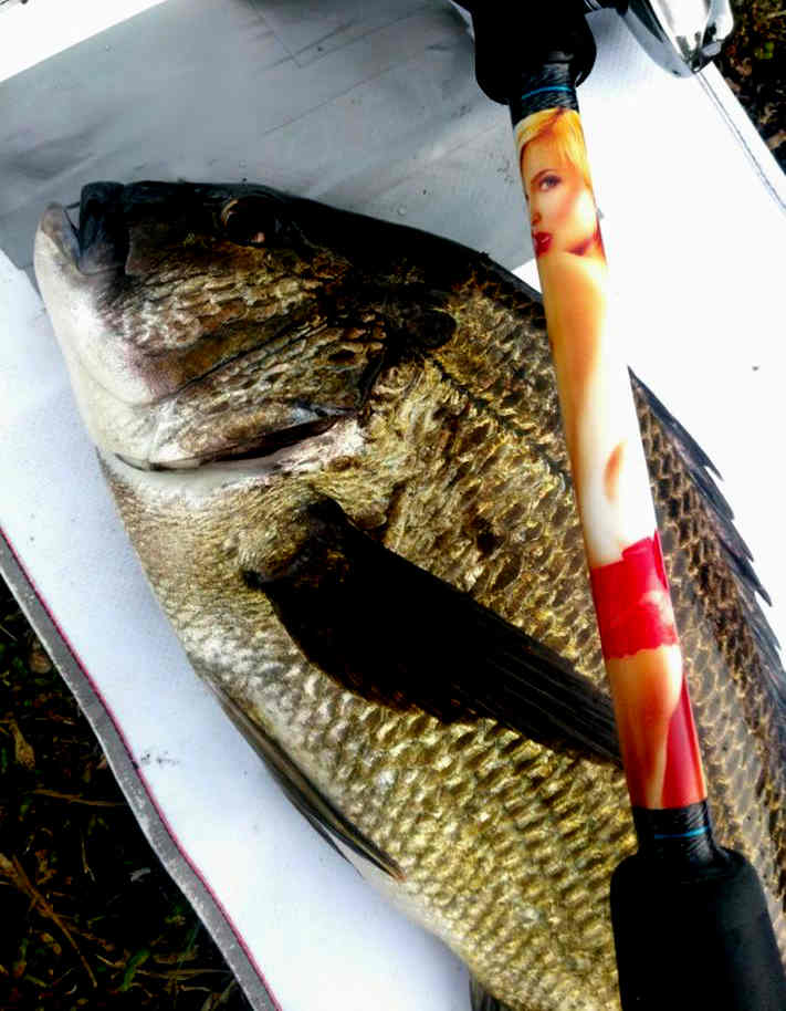 Messiah Fishing tweet media