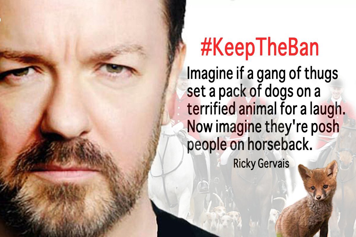 _AnimalAdvocate's tweet image. Hope #Tories finally got the message, UK people don't like you killing our #wildlife for fun. #sociopaths . #hungparliment #ElectionResults