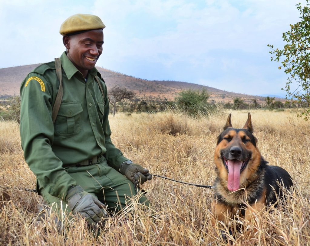Help us raise £1,500  for our late Anti-Poaching Commander Lembris' children. buff.ly/2sidhKJ