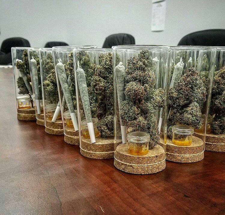deliveryexpre11's tweet photo. Pick up your best quality strain of weed at moderate prices https://t.co/thAB4fIFJy