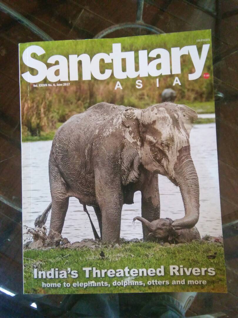 PenchJungleRes's tweet photo. Latest issue of India's leading wildlife and nature conservation magazine 'Sanctuary Asia' arrived today at our lodge ! 📗
@SanctuaryAsia https://t.co/g07q5BWnfH