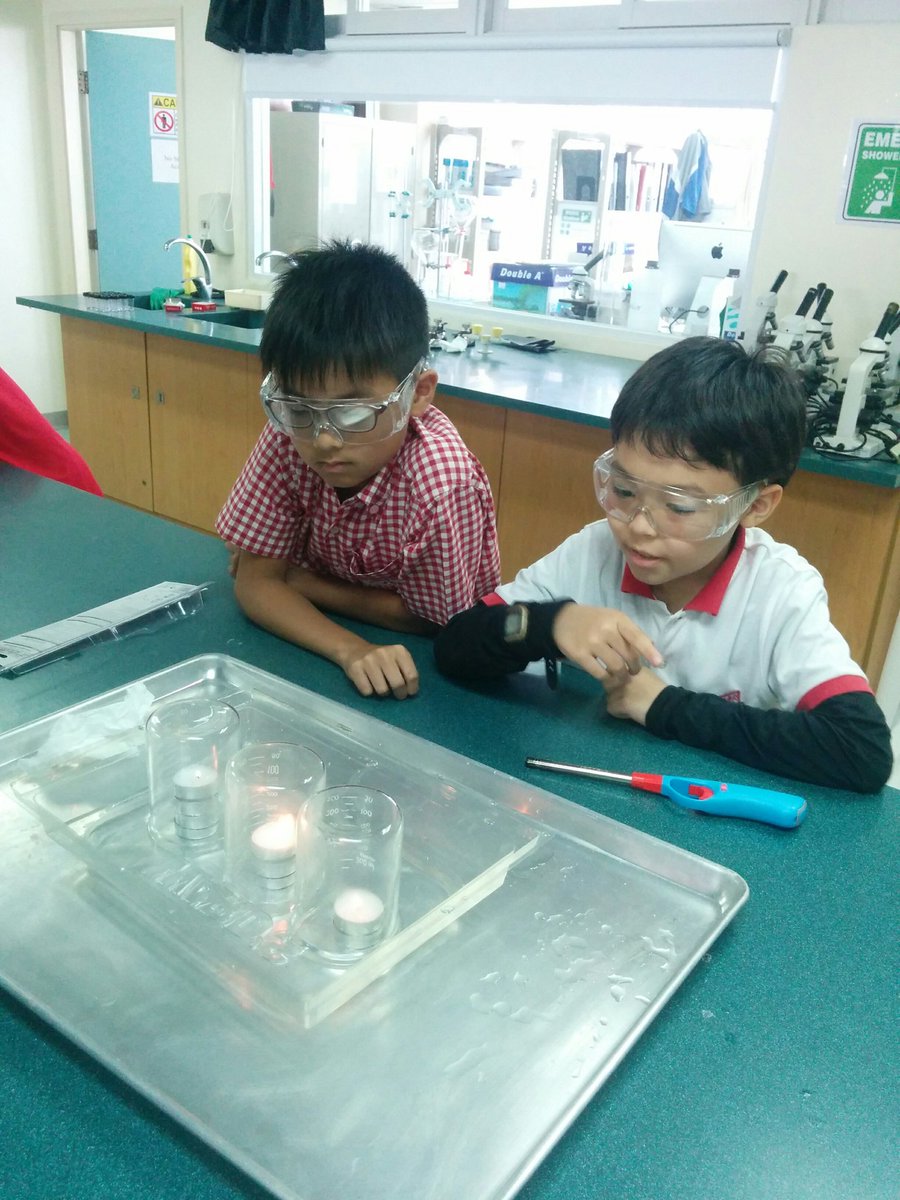 Edu4A11's tweet photo. June's Enrichment Afternoon #TISMacao https://t.co/Pl5f4XFiya